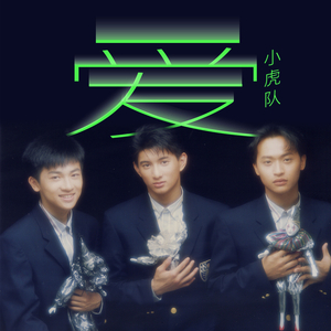 激情文学在线视频
