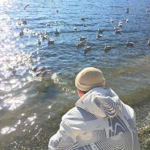 激情文学在线视频
